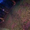 12 a Ak12 b Aktion Dezember 25 Waldweihnacht